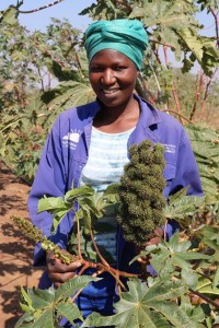 Female black farmer for Jatropha curcas, Julia Thandeka Shungube of Mbangwane, Ehlanzeni district in Mpumalanga, South Africa. Photo by Anna Ntabane, CAJ News Africa