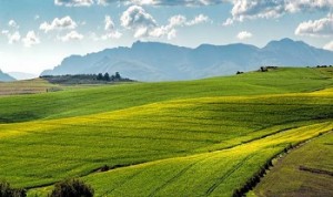 South Africa land expropriation programme