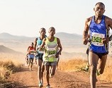 Global marathon goes virtual, defies COVID-19