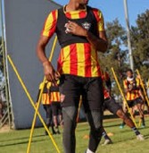 Stellies forecast sterling future for promoted