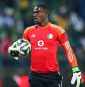 More twists in solving Meyiwa whodunit