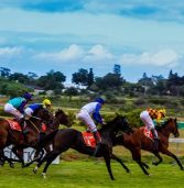 KZN horse racing ecosystem undertakes transformation