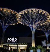 Solar trees power iconic Joburg shopping mall