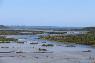 The expansive iSimangaliso wetland, KwaZulu Natal, South Africa. Photo by Futhi Mbhele, CAJ News Africa.