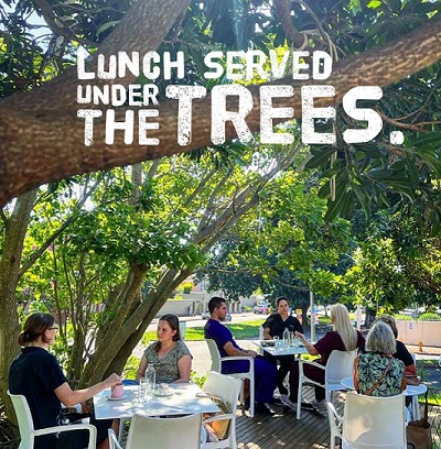 Seen here are patrons enjoying their meal at the Coffee Tree shop in Glenwood, Durban. Photo supplied