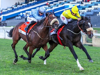 Horse racing at the Hollywoodbets Durban July.
