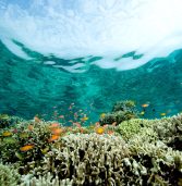 Balancing nature, tourism key to sustainable coasts
