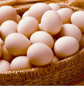 Neighbouring countries ease SA egg shortages