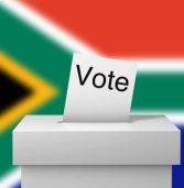 Are SA elections a case of too many cooks?